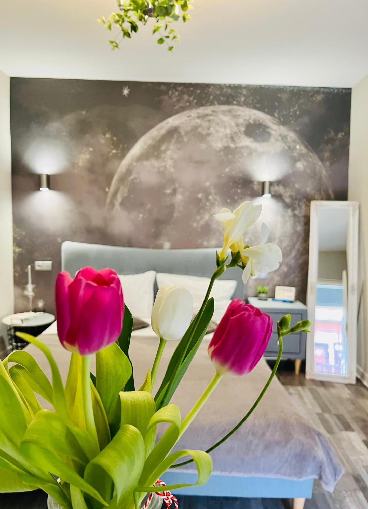 Moon And Sun Apartments Sibiu Buitenkant foto